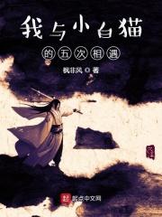 我与小猫的故事作文500字