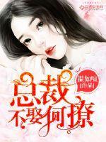 总裁不娶何撩免费阅读作者