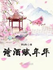 诗酒年华正版