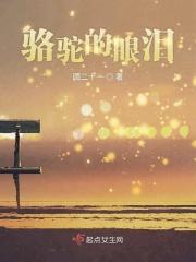骆驼的眼泪原版伴奏