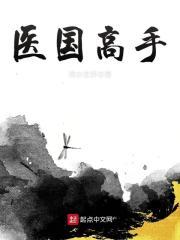 医国高手txt