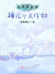 马甲多是什么意思
