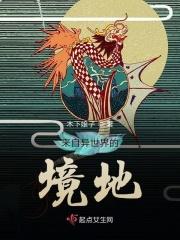 来自异世界的访客