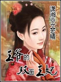 双面王爷绝世妻免费阅读