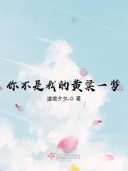 你不是我的梦是什么歌