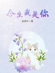 今生你是我的缘歌曲