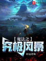 究极风暴打法