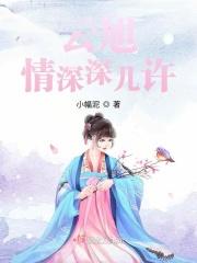 情深深几许全文