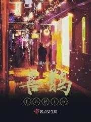 喜鹊谋杀案 电视剧