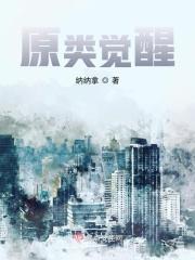 觉醒元素的