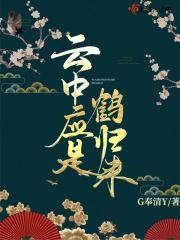 云中鹤是什么寓意