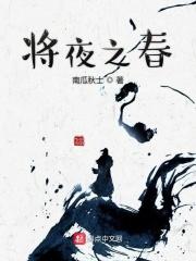 将夜之夜行无弹窗