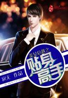 美女总裁之贴身高手凌尘南荣婉清全