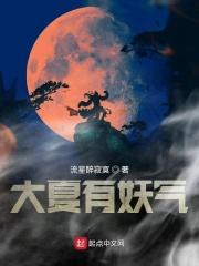 大夏有旨全集