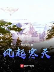风起寒阳完整版