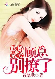 暖婚宠妻顾少