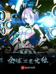 拥有海贼系统的