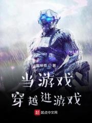 当游戏穿越进游戏txt