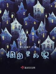 家里的烟囱的烟怎么处理