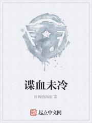 谍战喋血电视剧
