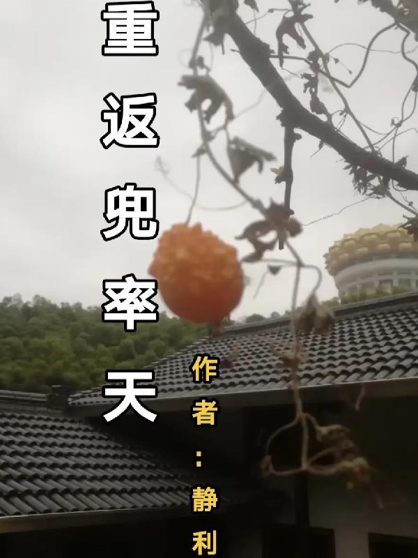 兜率天是第几重天