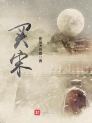 买宋ldmi和宋plusdm那款好