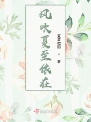 风吹一夏谁唱的