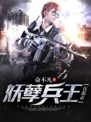 妖孽兵王在都市叶风周亦冰