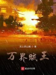万界大盗