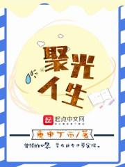 聚光平台官网