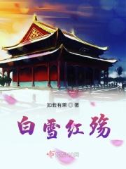 白雪飘红梅歌曲原唱