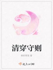 清穿守则很像双胞胎的推荐