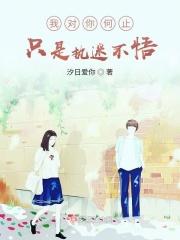 我对你何止是执迷不悟歌名