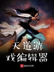 天道游戏编辑器怎么用