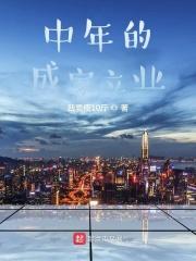 中年成功是什么意思
