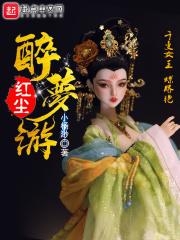 红尘醉梦游感网易