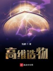高维是啥意思