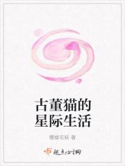 古董猫lolita