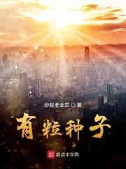 一粒种子的粒