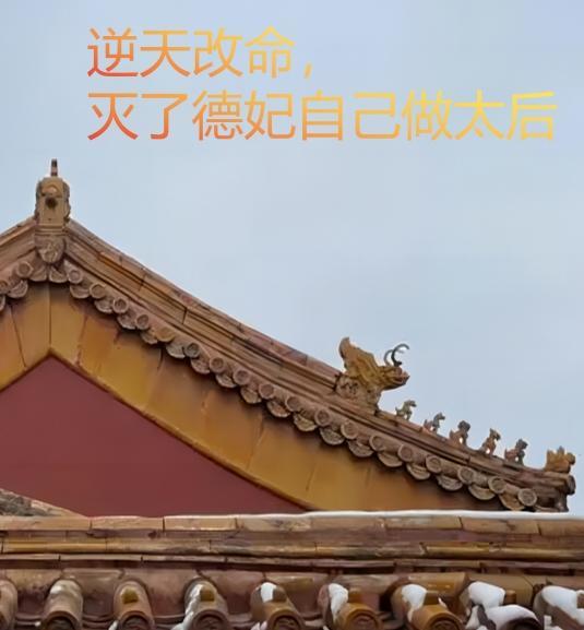 女主是德妃的