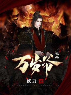 极品万岁爷全本免费阅读笔趣阁