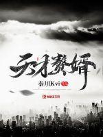 天才赘婿免费阅读