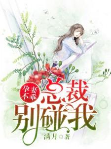 孕妻不好惹总裁别惹我