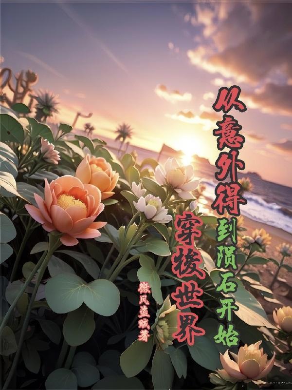主角因一颗陨石穿越的古早