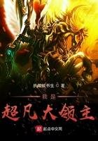 我是大领主游戏