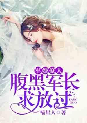 腹黑总裁军婚合集