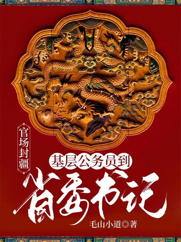 从基层到省委的官场