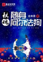 棋魂随身阿尔法狗作者由来是