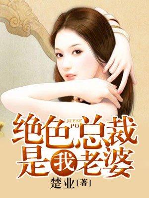 我的绝色总裁老婆在都市