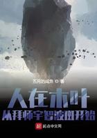 人在木叶开局召唤宇智波斑